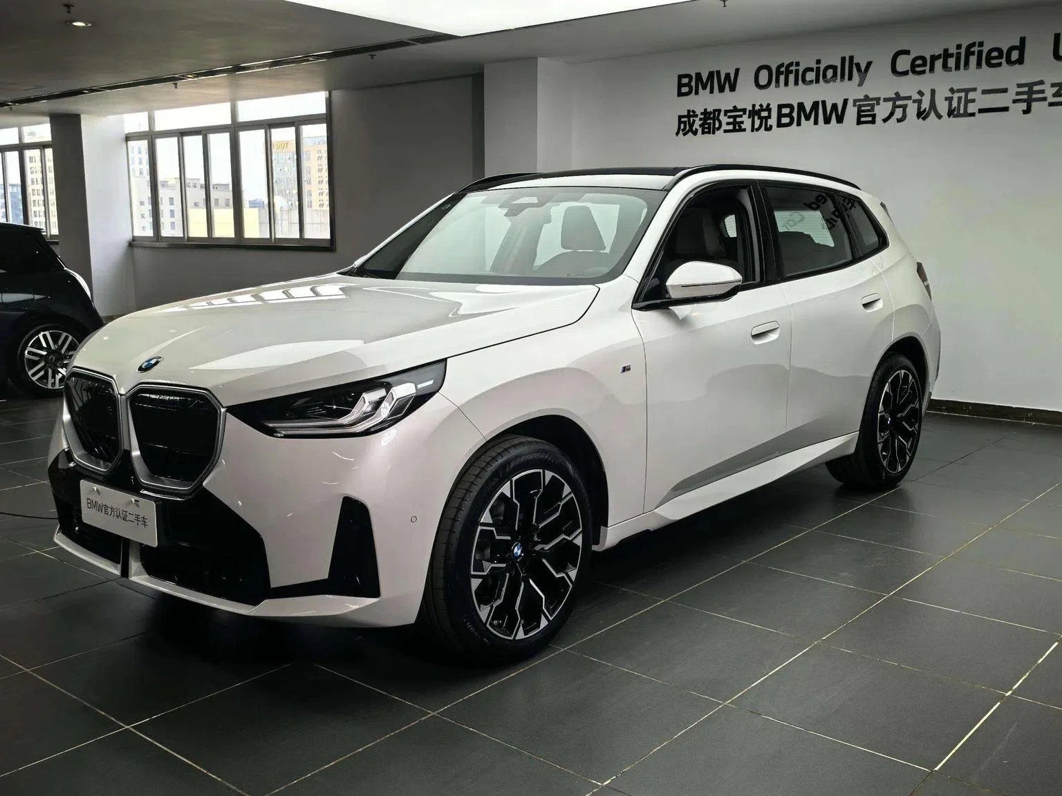 BMW X3 xDrive30L, Китай
